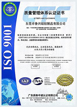 ISO9001 Certificate