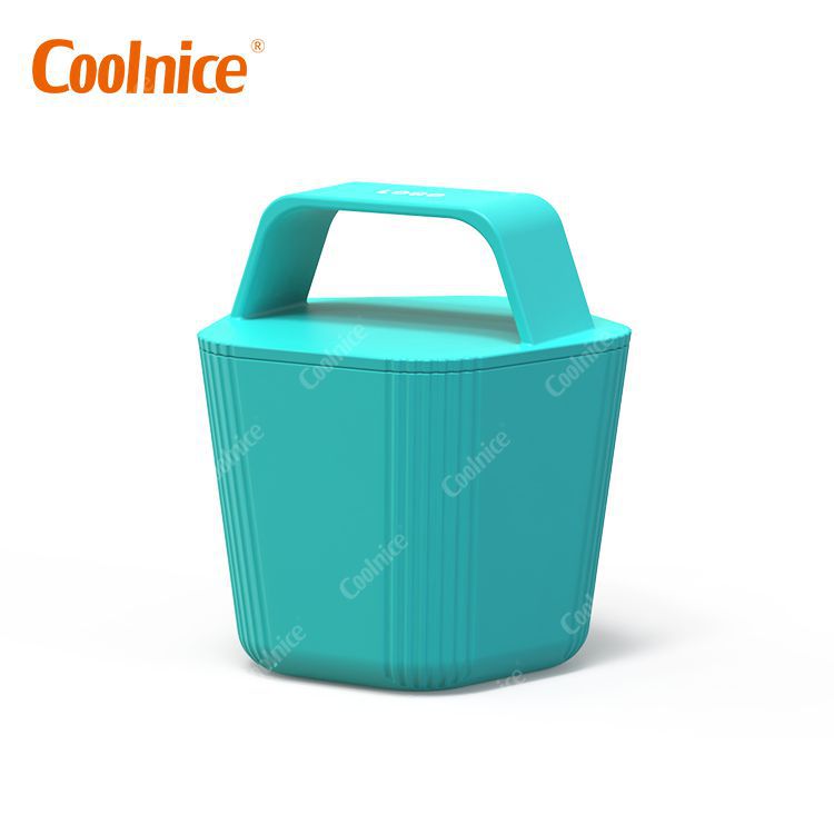 Body Ice Cube Roller