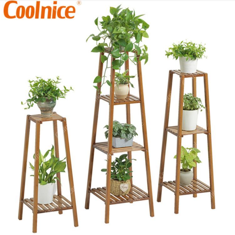 Natural Plant Rack