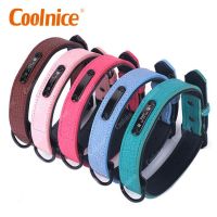 Customized Pet collar