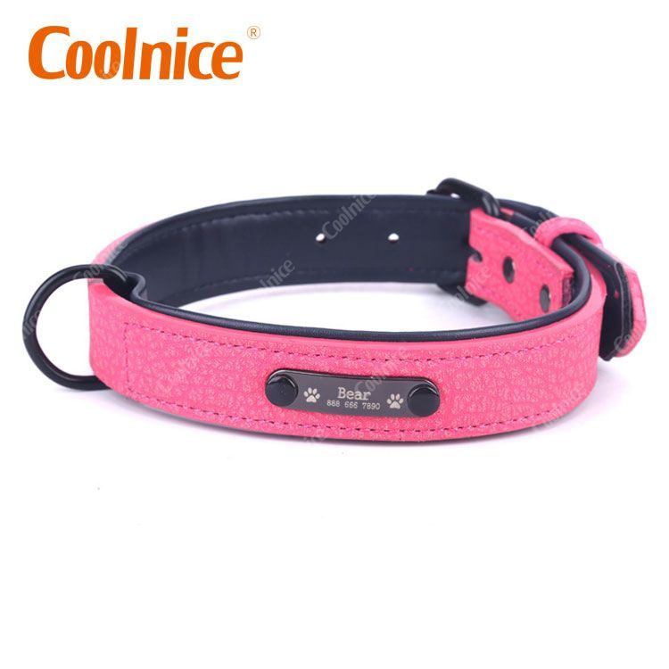 Customized Pet collar