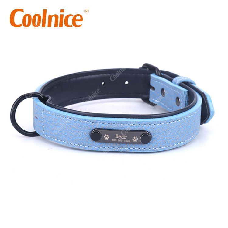 Customized Pet collar