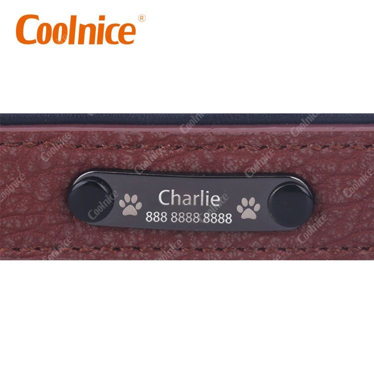 Customized Pet collar